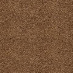 Bolsena Sofa Sleeper - Home Furniture And More (Brentwood, MD)