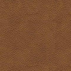 Carianna Loveseat - Home Furniture And More (Brentwood, MD)