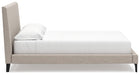 Cielden Upholstered Bed with Roll Slats - Home Furniture And More (Brentwood, MD)