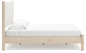 Cadmori Upholstered Bed - Home Furniture And More (Brentwood, MD)